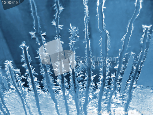 Image of Frosty natural pattern