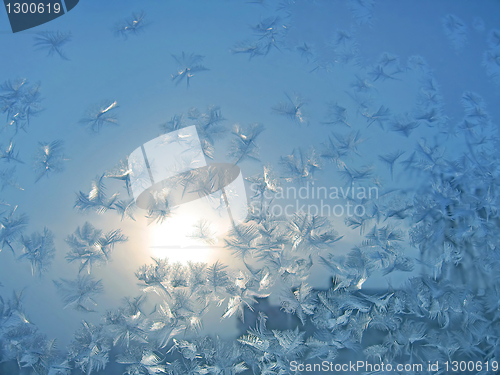 Image of frosty natural pattern and sun