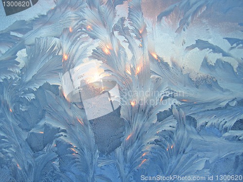 Image of frost and sun