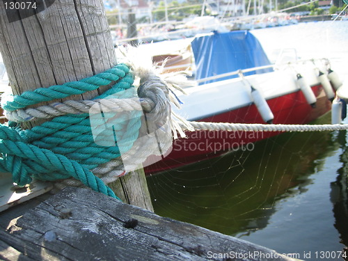 Image of Spiderweb at the pier