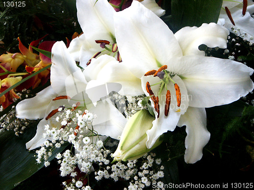 Image of white lilies