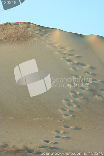 Image of sand dune