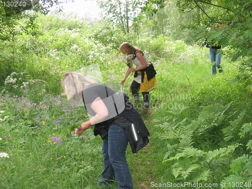 Image of Picking flowes