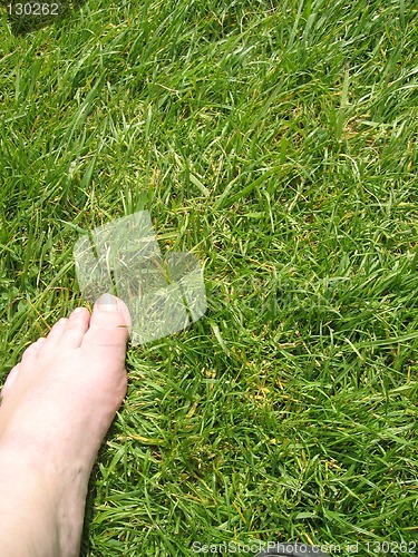 Image of Barefoot in the grass