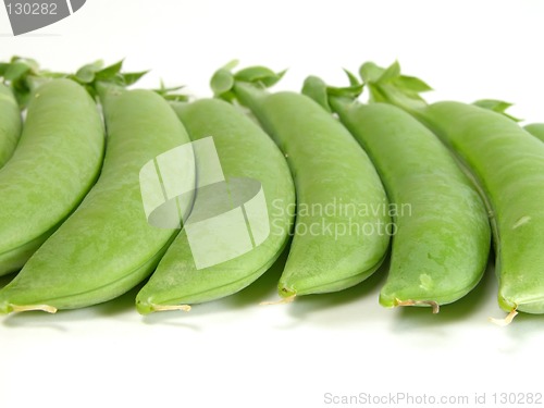 Image of Sweet peas