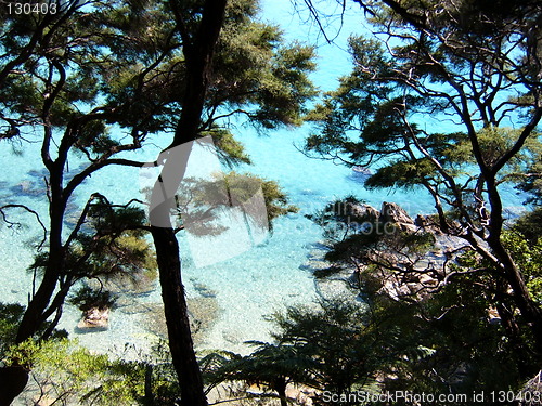 Image of Abel Tasman National Park, New Zealand