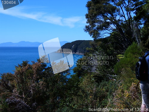 Image of Abel Tasman National Park, Soth Island, New Zealand