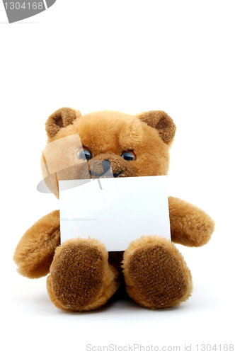 Image of isolated teddy with blank sheet