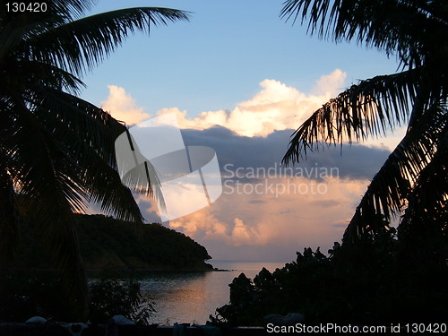 Image of palm fringed sunset