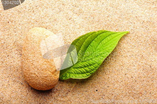 Image of zen or spa