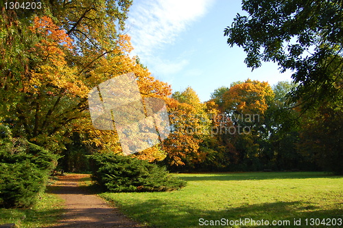 Image of fall in the park with green trees under blue sky