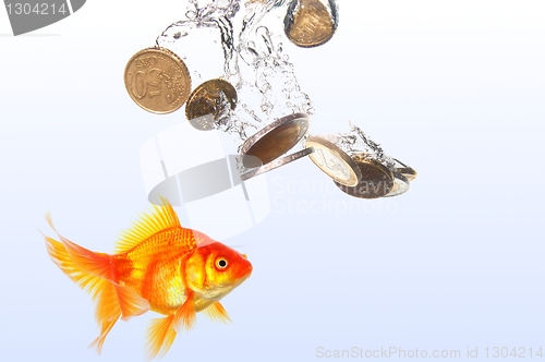 Image of goldfish and money