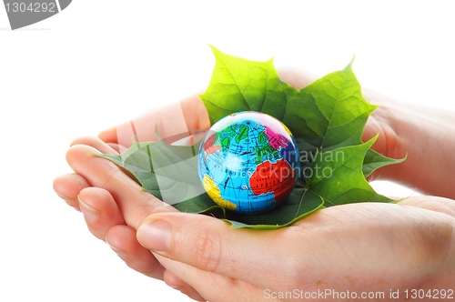 Image of hand holding globe