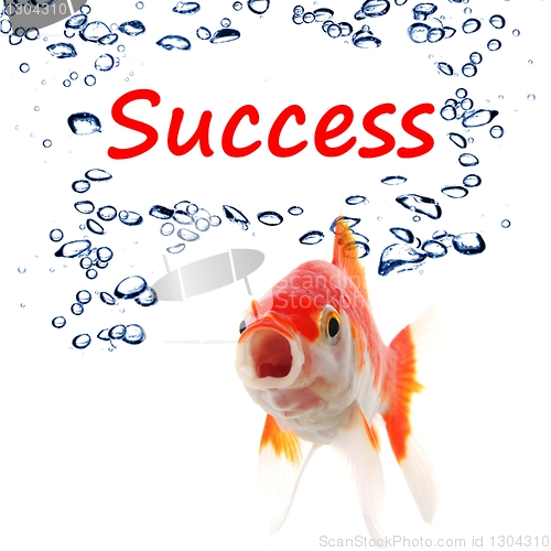 Image of success