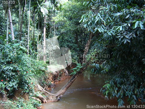 Image of A river in India