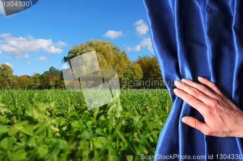 Image of park and blue curtain