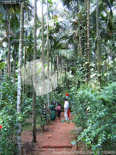 Image of Spice Plantation, Goa