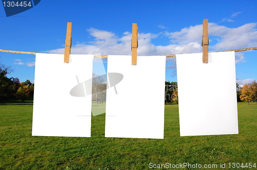 Image of blank sheet of paper