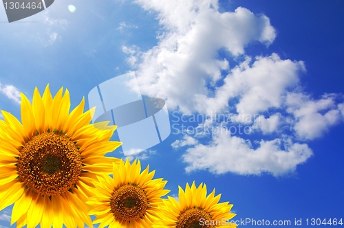 Image of summer holidays