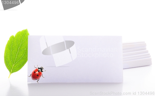 Image of blank paper
