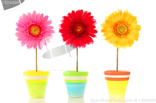 Image of funny flowers