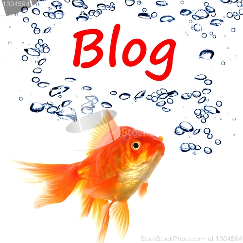 Image of blog