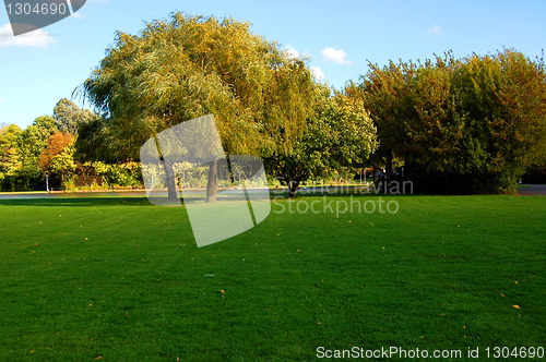 Image of forest and garden under blue sky at fall