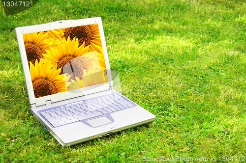 Image of laptop and flower