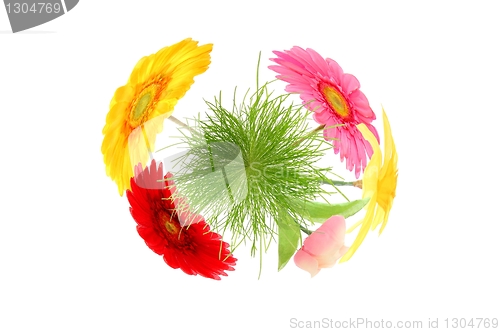 Image of flower