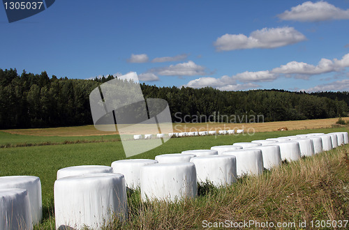 Image of Bales of silage on green field