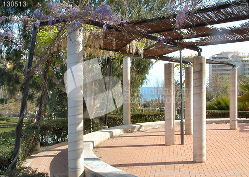 Image of wisteria growing over apergoda