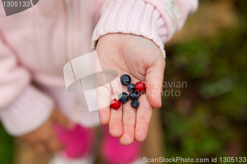 Image of Child holding berries