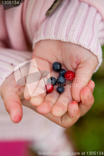 Image of Child holding berries