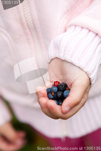 Image of Child holding berries