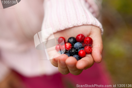 Image of Child holding berries