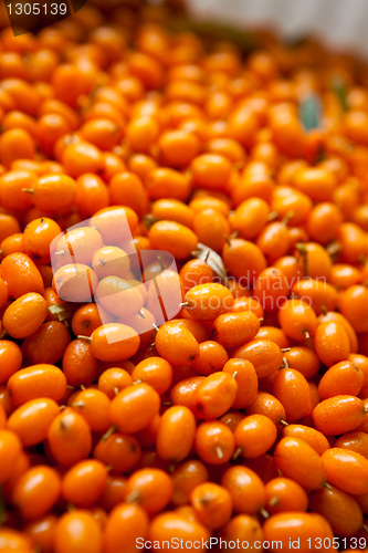 Image of Sea-buckthorn