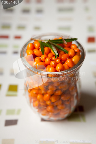 Image of Sea-buckthorn