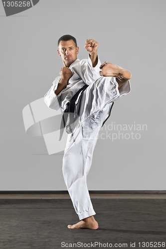 Image of martial arts master