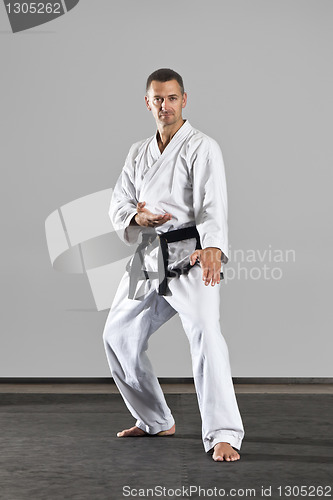 Image of martial arts master