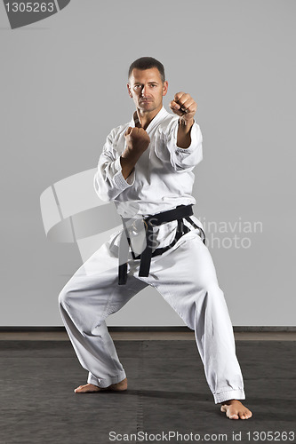 Image of martial arts master