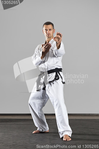 Image of martial arts master