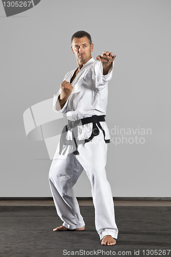 Image of martial arts master