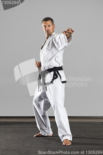 Image of martial arts master