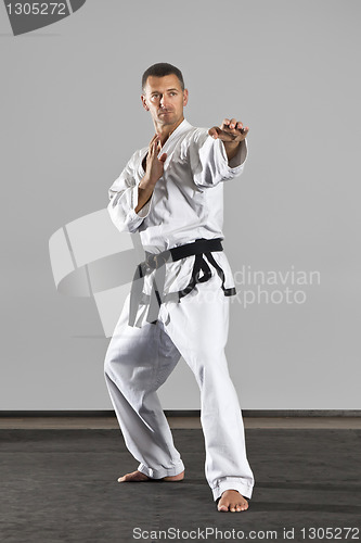 Image of martial arts master