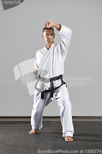 Image of martial arts master