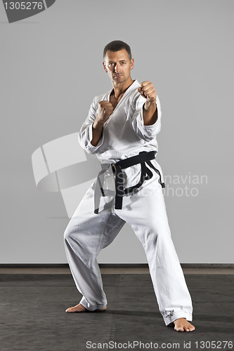 Image of martial arts master