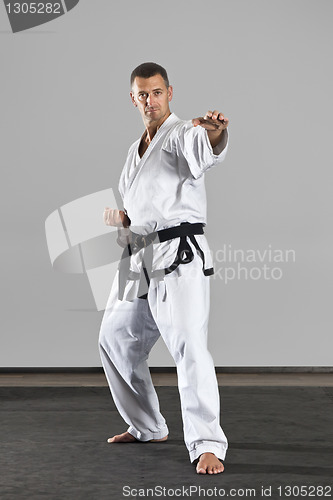 Image of martial arts master