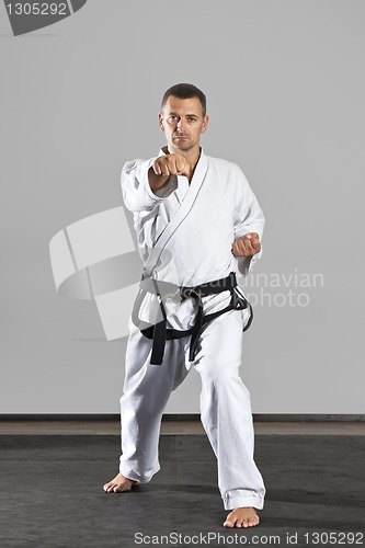 Image of martial arts master