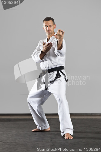 Image of martial arts master