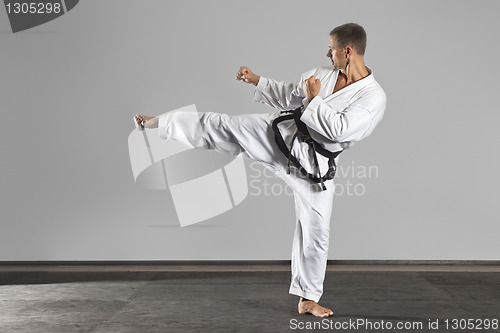 Image of martial arts master